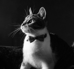 Fundraising Page: George Marsh